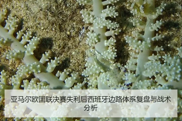 亚马尔欧国联决赛失利后西班牙边路体系复盘与战术分析